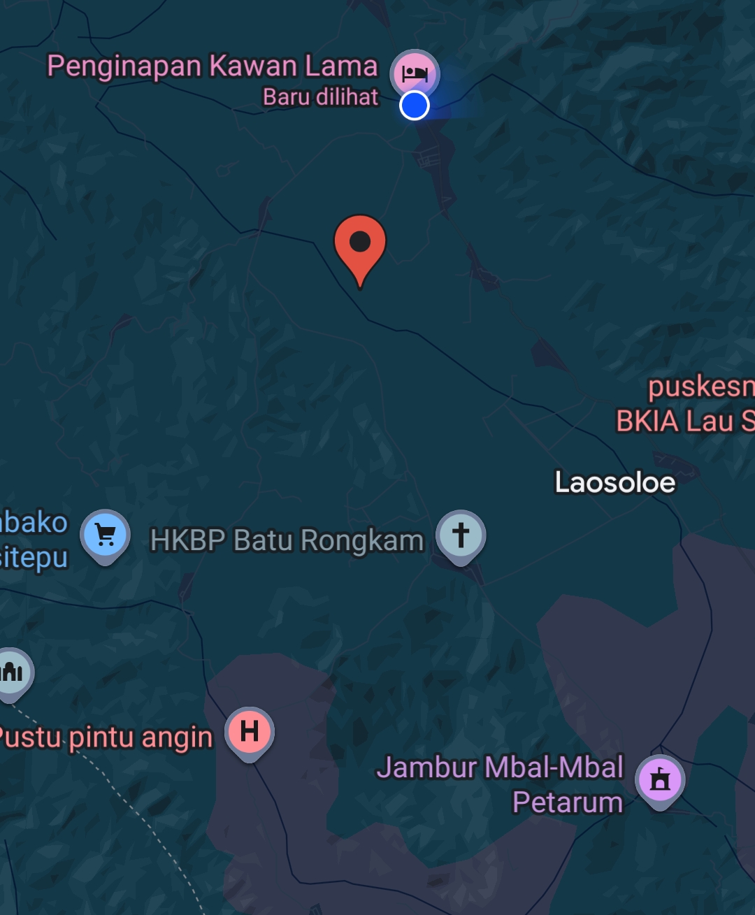 Google Maps Location